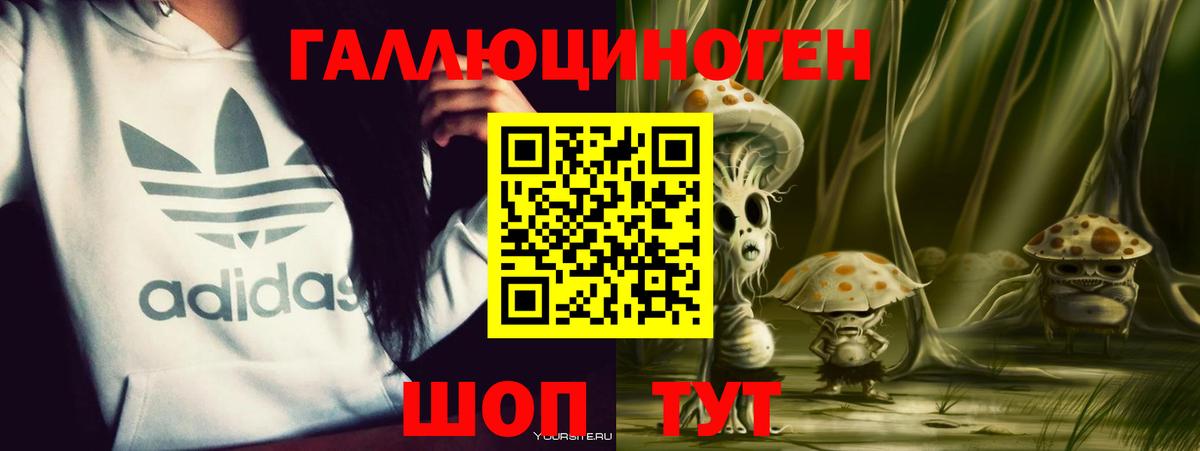 Галлюциногенные грибы Psilocybe Урюпинск